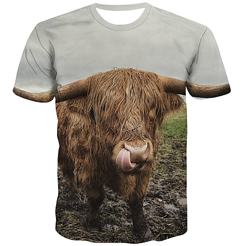 

Men's Plus Size 3D Print T-shirt Street chic Daily Round Neck Rainbow / Short Sleeve