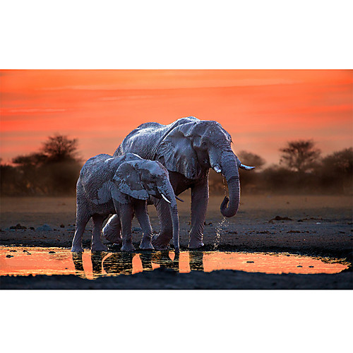 

Print Rolled Canvas Prints - Abstract Still Life Modern Art Prints Sunset Africa Elephants Animals Canvas Painting Cuadros for Living Room Posters and Prints Painting Wall Decor Pictures