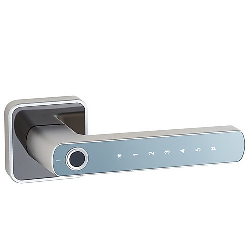 

Indoor Wooden Door B & B Home Door Fingerprint Password Lock Light Luxury Smart Door Lock