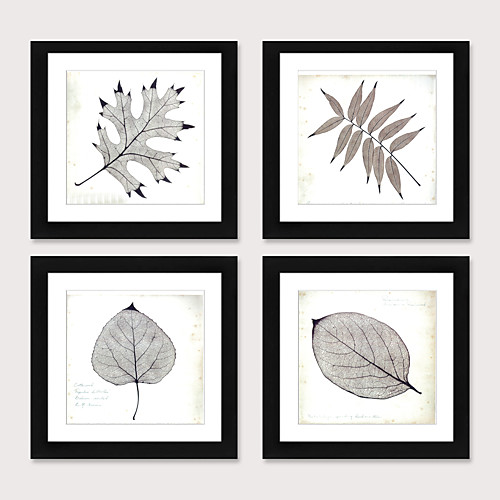 

Framed Art Print Framed Set 4 - Boreal Europe Style Plant Specimens PS Illustration Wall Art