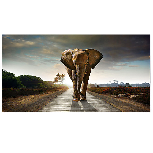 

Africa Elephants Cuadros Canvas Painting Wild Animal Scandinavia Posters and Prints Wall Art Pictures For Living Room Print Rolled Canvas Prints - Abstract Natures & Outdoors Modern Art Prints