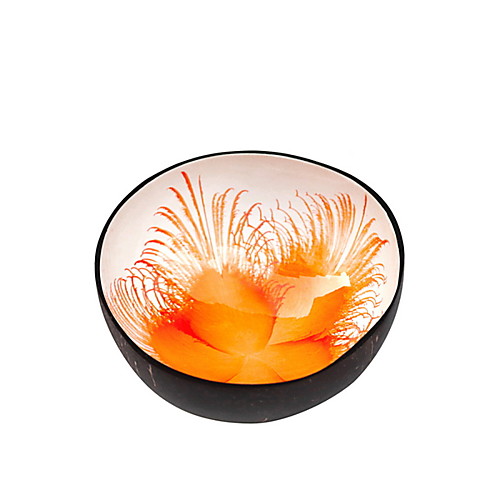 

Colorful Flower Coconut Shell Bowl Dishes Handmade Paint Craft Art Snacks Bowl D13.5 H5.7CM