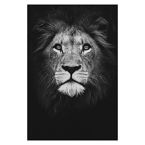 

Print Rolled Canvas Prints - Animals Still Life Modern Art Prints Animal Wall Art Black and White Lion Zebra Elephant Poster Painting Art Graphic Cuadros Home Decoration for Living Room