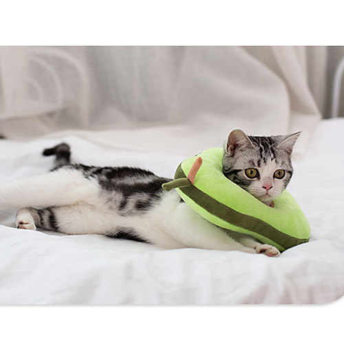 

Cat Elizabethan Collar Soft Lolita Cotton White Pink