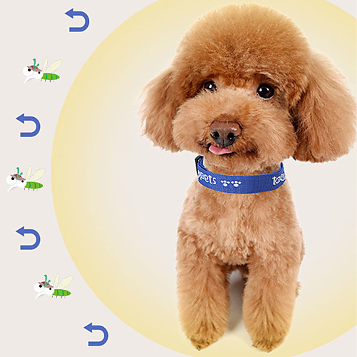 

Dog Cat Collar Soft Other Polyester