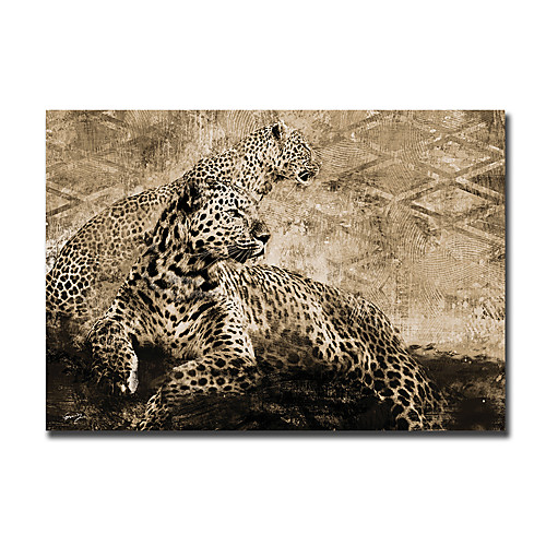 

Print Rolled Canvas Prints - Animals Still Life Modern Art Prints African Leopard Canvas Poster Painting Modern Unframed Print and Posters Decorative Pictures Wall Art Cuadros Living Room