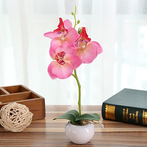 

Three Round Phalaenopsis Bonsai With Ceramic Holder Whole H28cm, Holder H4.5cm