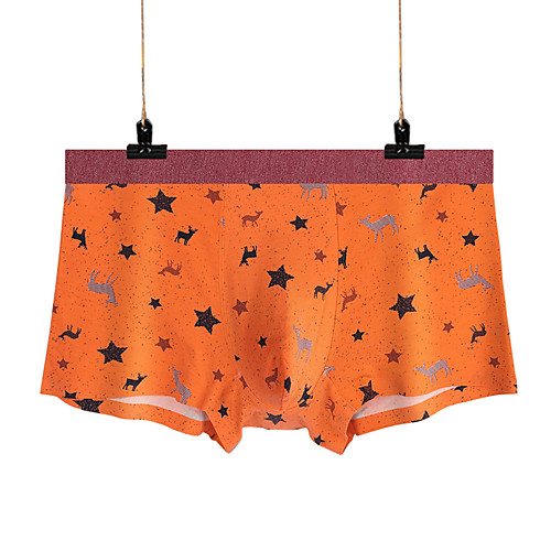 

Men's Sports Underwear Boxer Brief Trunks 1pc Modal Sports Shorts Underwear Shorts Bottoms Running Walking Jogging Training Breathable Quick Dry Soft Fashion Grey Orange Blue Coffee Light Blue
