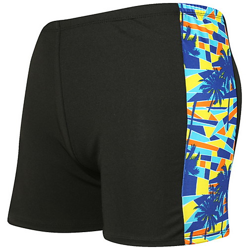 

Men's Swim Trunk Bottoms Swimwear Swimsuit - 3D Print Quick Dry L XL XXL Rainbow