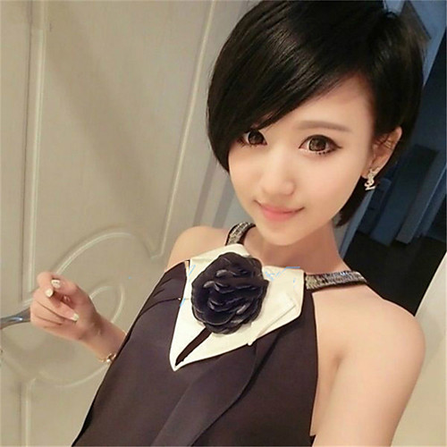 

Synthetic Wig Straight Asymmetrical Wig Short Light Brown Dark Brown Black Synthetic Hair 6 inch Women's Life Party Classic Black Brown