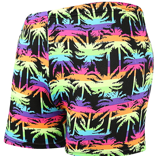

Men's Swim Trunk Bottoms Swimwear Swimsuit - Tropical Print Quick Dry L XL XXL Rainbow
