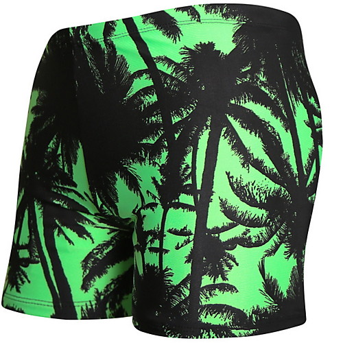 

Men's Beach board shorts Swimwear Swimsuit - 3D Tropical Print Quick Dry L XL XXL Green