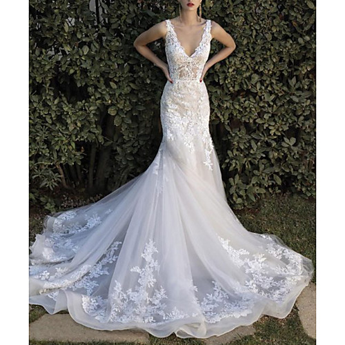 

A-Line Wedding Dresses V Neck Sweep / Brush Train Lace Tulle Sleeveless Formal Sexy See-Through with Embroidery 2020