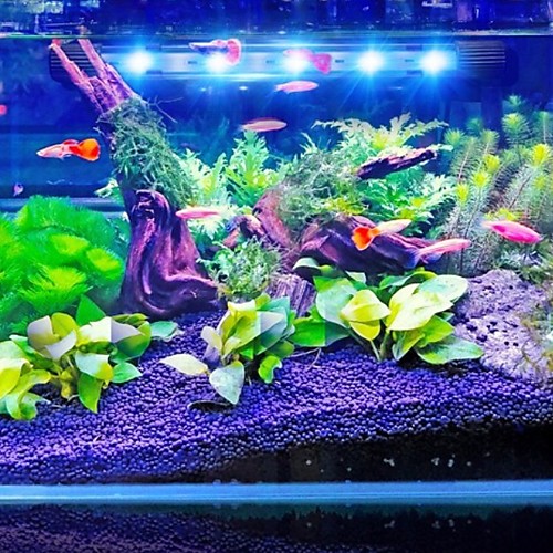 

Aquarium Light Aquarium Decoration LED Light Fish Tank Light White Blue Energy Saving Plastic 1 W 220 V / #