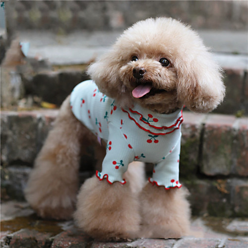 

Dog Shirt / T-Shirt Pajamas Fruit Casual / Sporty Cute Party Casual / Daily Dog Clothes Puppy Clothes Dog Outfits Warm White Blue Pink Costume for Girl and Boy Dog Cotton XXXS XXS XS S M L