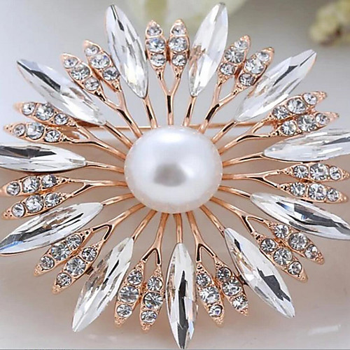 

Alloy Brooches & Pins with Crystals / Rhinestones 1 Piece Wedding / Daily Wear Headpiece