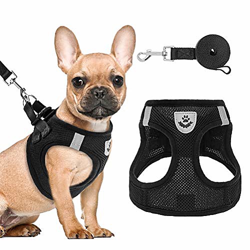 

puppy harness and leash set - soft mesh dog vest harness, reflective & adjustable harness for small to medium dogs, cats and puppies