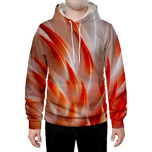 

Men's Hoodie Graphic Daily Going out 3D Print Casual Hoodies Sweatshirts Red