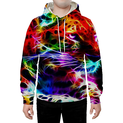 

Men's Hoodie Graphic Animal Daily Going out 3D Print Casual Hoodies Sweatshirts Rainbow