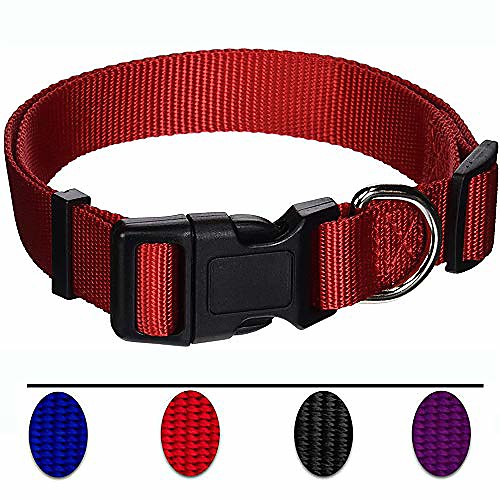 

adjustable nylon dog collar classic solid colors for small sized dogs