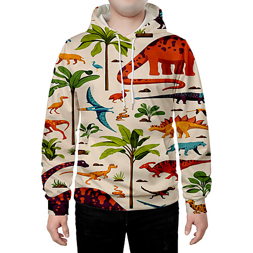

Men's Hoodie Graphic Animal Daily Going out 3D Print Casual Hoodies Sweatshirts Rainbow