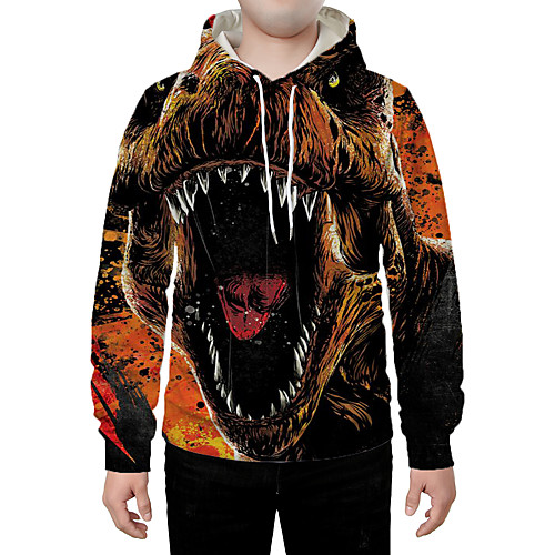 

Men's Hoodie Graphic Animal Daily Going out 3D Print Basic Casual Hoodies Sweatshirts Rainbow