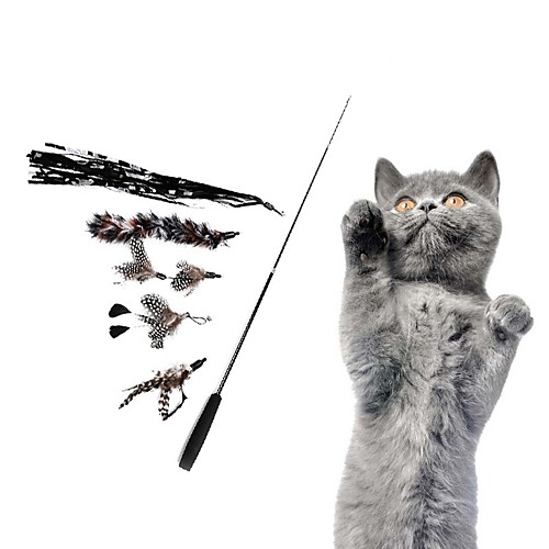 

Teaser Feather Toy Interactive Toy Cat Toys Set Interactive Cat Toys Fun Cat Toys Cat 6pcs Pet Exercise Releasing Pressure Plastic Gift Pet Toy Pet Play