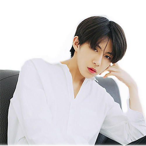 

Synthetic Wig Natural Straight Middle Part With Bangs Wig Short Black Synthetic Hair Men's Fashionable Design Classic Cool Black