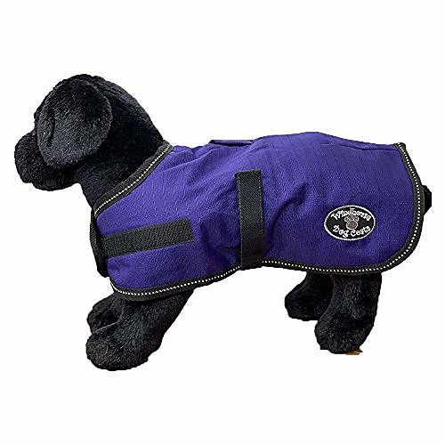 

dog coat, dark purple, small