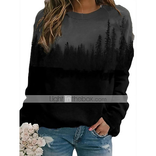 

Women's Pullover Sweatshirt Color Block Daily Other Prints Casual Hoodies Sweatshirts Blue Green Gray