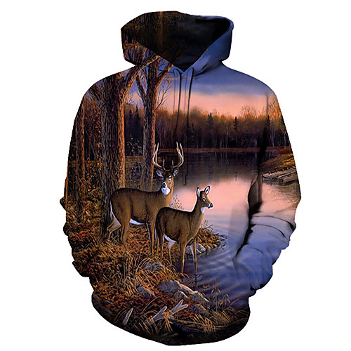 

Men's Daily Pullover Hoodie Sweatshirt Graphic Animal Hooded Casual Basic Hoodies Sweatshirts Long Sleeve Rainbow