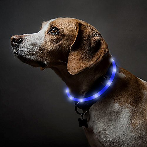 

usb rechargeable led dog collar glow in the dark pet collar, silicone light up collars for night dog walking (blue)