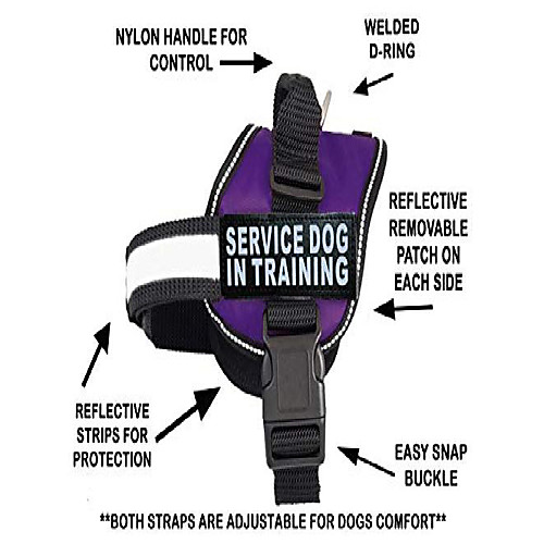 

service dog in training vest with hook and loop straps and handle – harness comes in sizes xxs to xxl – three colors – dog harness features 2 reflective patches purple