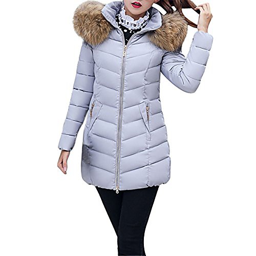 

Women's Solid Color Winter Down Daily Wear Polyester Coat Tops Silver Gray