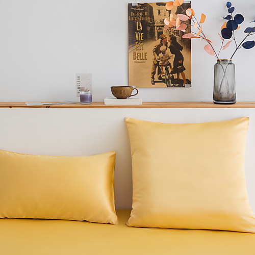 

2 pcs Water Washed Silk Pillow Cover, Solid Colored Square Traditional Classic