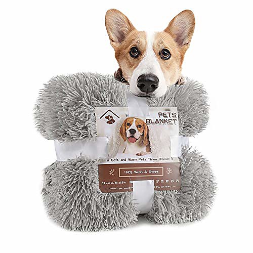 

luxury velvet fluffy dog blanket, extra soft and warm sherpa fleece pet blankets for dogs cats, plush furry faux fur puppy throw cover, 20''x30'' cream white