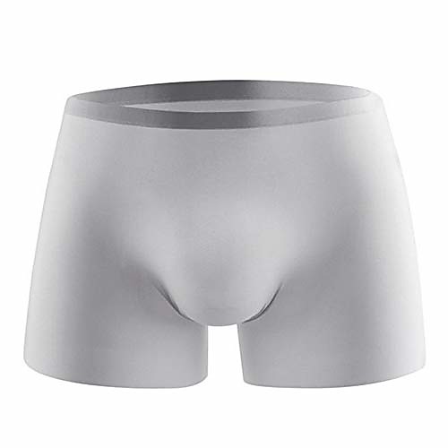 

men's traceless underwear ice silk boxer brief sexy see-through transparent briefs grey us l