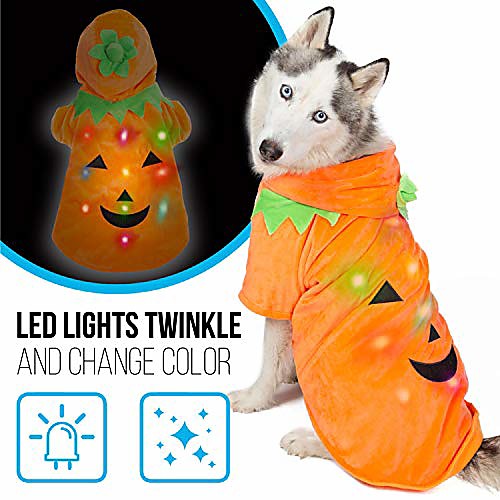 

jack-o-lantern dog pumpkin costume for small dogs | halloween dog sweater with blinking lights | light-up xs dog costume for teacup dogs, puppies and cats | cat sweater | size teacup