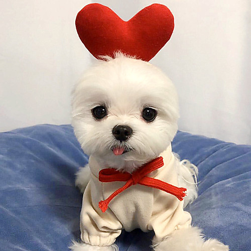 

Dog Coat Hoodie Bowknot Fashion Cute Casual / Daily Winter Dog Clothes Puppy Clothes Dog Outfits Breathable Red and White Costume for Girl and Boy Dog Cotton XS S M L XL XXL