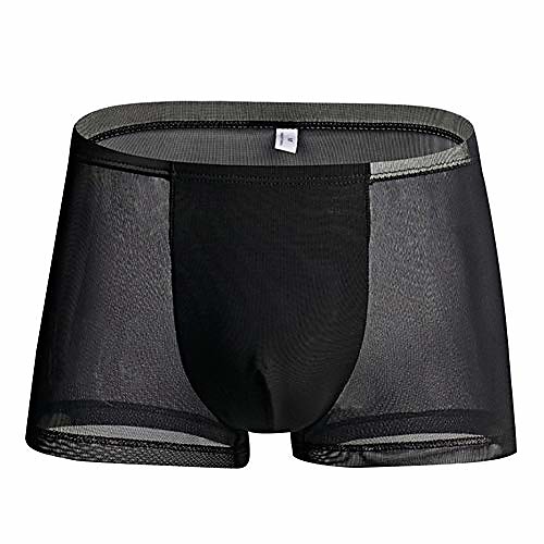 

men's underwear sexy mesh briefs see through breathable low rise pouch boxer briefs underwear