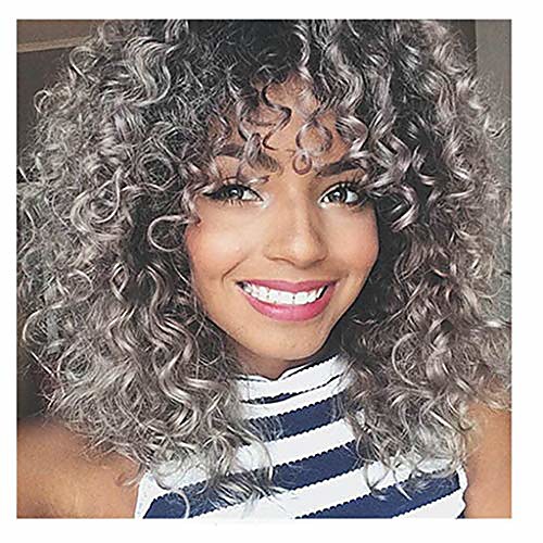

gradient color afro curly mix gray hair women wigs simulated human hair with baby hair full high density mixed colors synthetic wig (curly gray for black women)