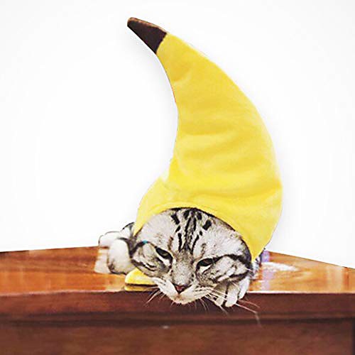 

pet dog cat pitaya fruit design pet hat dog cat party holiday costumes (yellow)