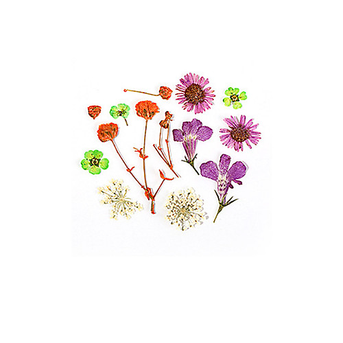 

1 pcs Removable / Creative Dried Flower Decals For Finger Nail Creative Flower nail art Manicure Pedicure Daily Fashion