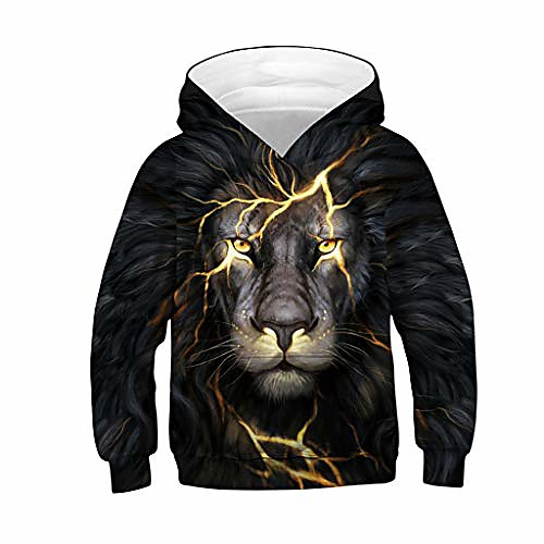 

boys girls 3d print hoodie sweatshirt hoodies children long sleeve sweater with hood pullover autumn winter 4-13 years