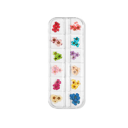 

12 Types Nail Art Dry Flower 3D Three-dimensional Flower Set Real Dry Flowers Nail Decoration Manicure Art DIY Nail Design Nail Art