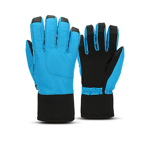 

Full Finger Gloves Women's / Men's Waterproof / Skidproof / Protective Camping / Hiking / Ski / Snowboard / Climbing Fleece / Winter