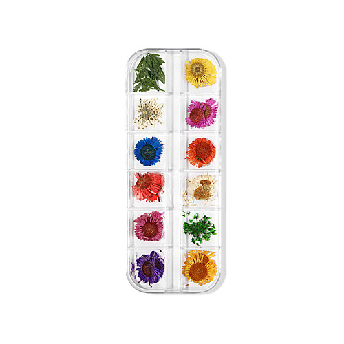 

Dry Flowers Nail Decoration Manicure Arts Nail Art Dried Flower Nail Immortal 3D Three-dimensional Lace Flower Hydrangea Narcissus Multicolor Daisy Set