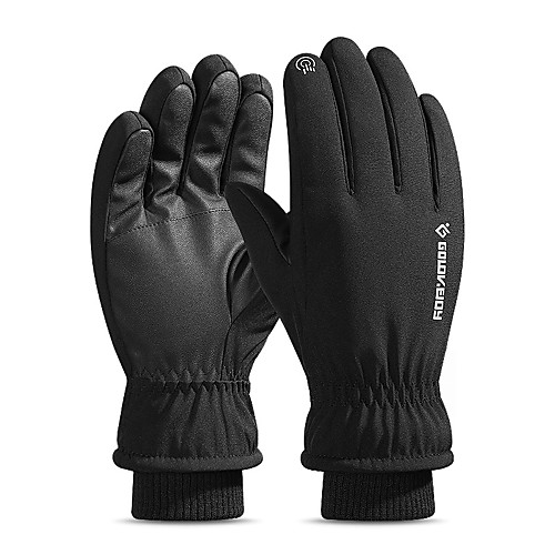 

Full Finger Gloves Women's / Men's Waterproof / Skidproof / Protective Camping / Hiking / Ski / Snowboard / Climbing Fleece / Winter