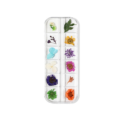 

Nail Art Dried Flower Nail Immortal 3D Three-dimensional Lace Flower Hydrangea Narcissus Zou Chrysanthemum Set