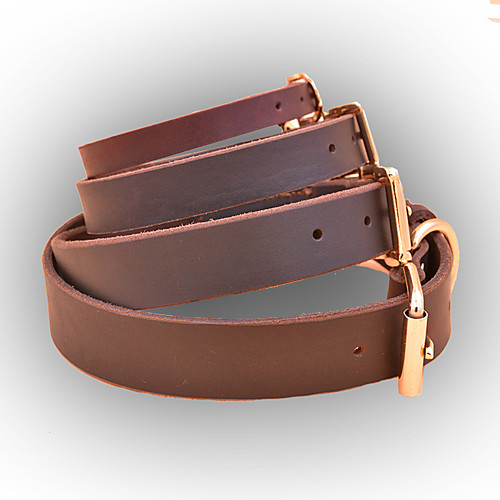 

me13316 pet standard rolled dog collar, 3/4 by 16, chestnut